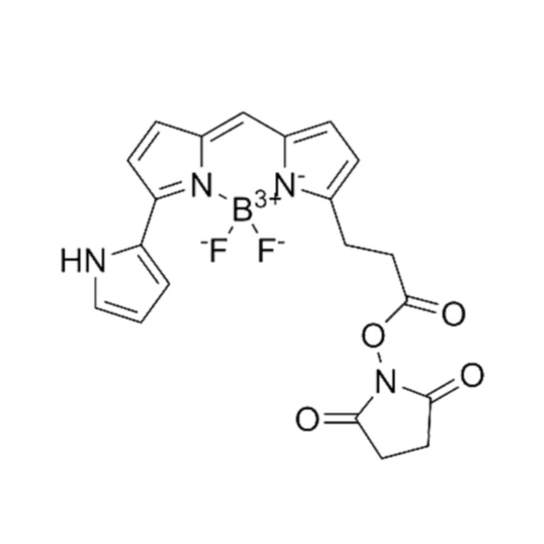 Py-BODIPY-NHS ester