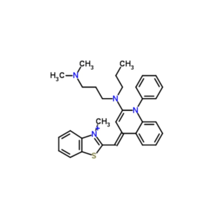 SYBR Green I; 核苷酸胶体染料